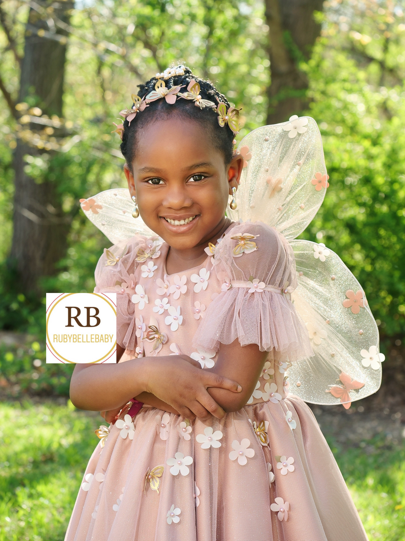 Fairy Butterfly Wings Dress Set